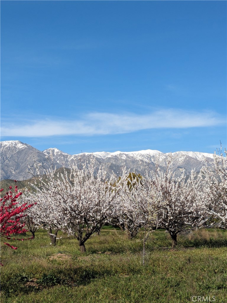 0 Pump House Road Banning, CA 92220 - Photo 5 of 8 a view of a yard with an ocean