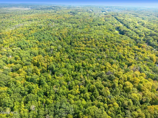 $1,500,000 | L100 Skyline Drive, Delanson, NY 12053