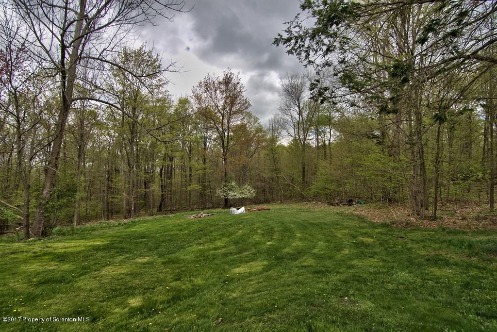 5275 Bloomington Road Moscow, PA 18444 - Photo 44 of 48 a backyard of a house with lots of green space