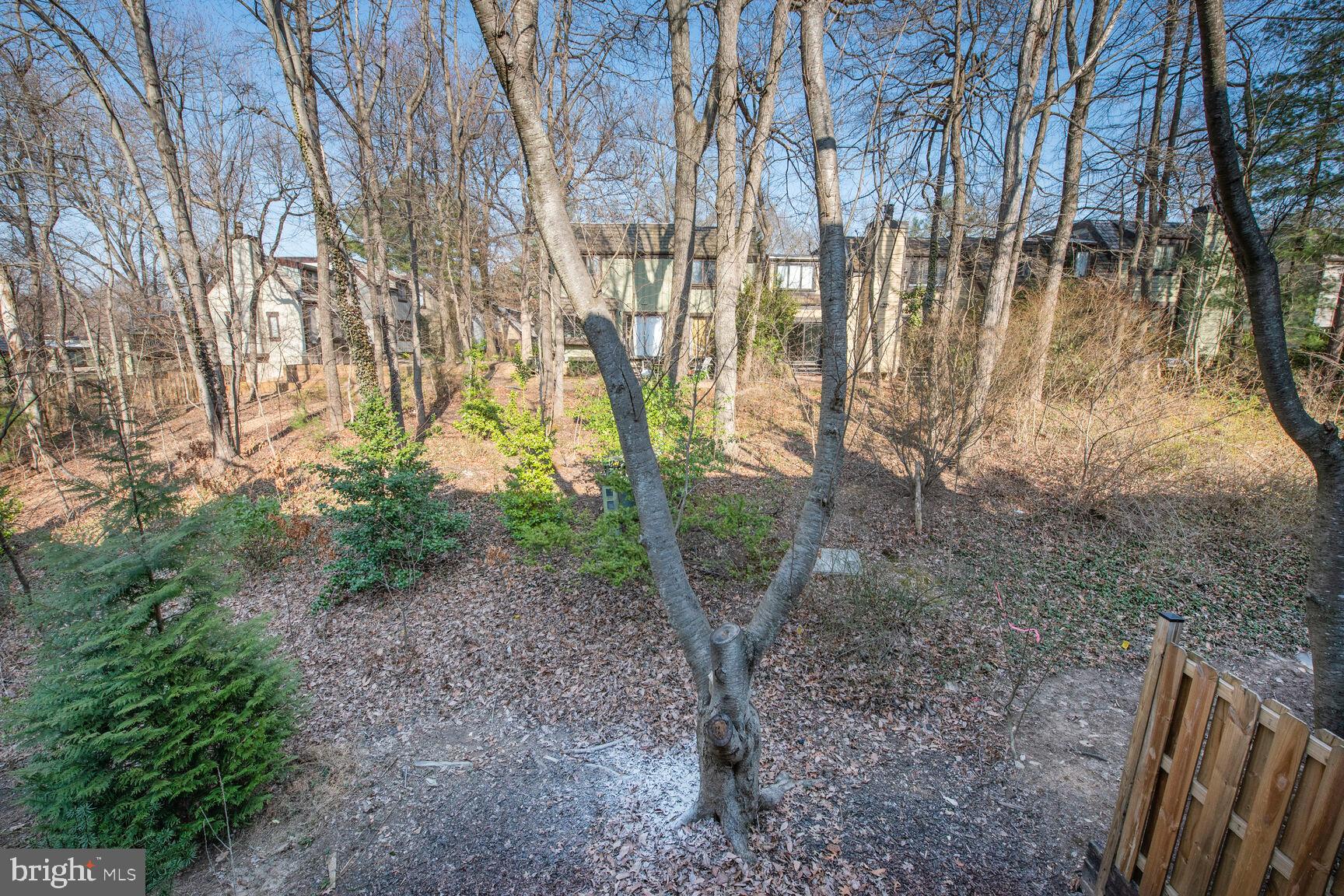 1526 Scandia Circle Reston, VA 20190 - Photo 20 of 22 a view of a yard with plants and trees
