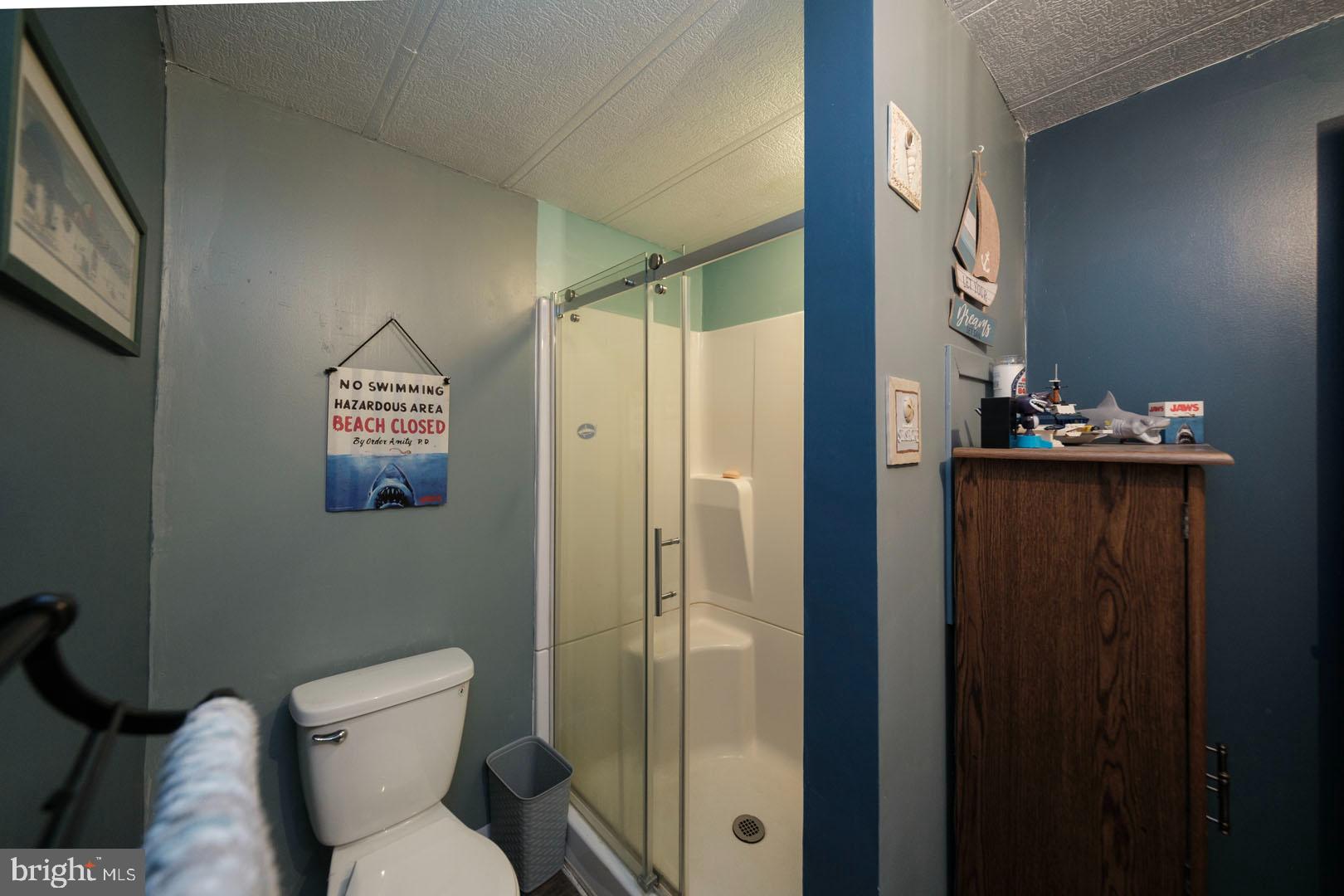 260 Wooltown Road Wernersville, PA 19565 - Photo 23 of 24 Bathroom with Step In Shower