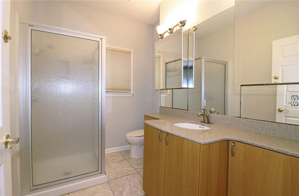 100 Wiley Hills Trail Woodstock, GA 30188 - Photo 23 of 39 a bathroom with a sink vanity granite toilet and a mirror