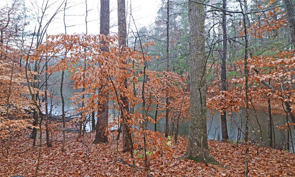100 Wiley Hills Trail Woodstock, GA 30188 - Photo 34 of 39 a backyard of a house with lots of green space