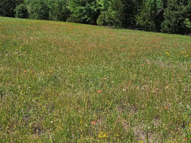 a view of a field with an outdoor space