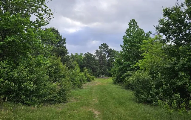 an aerial view of residential house with outdoor space and trees all around