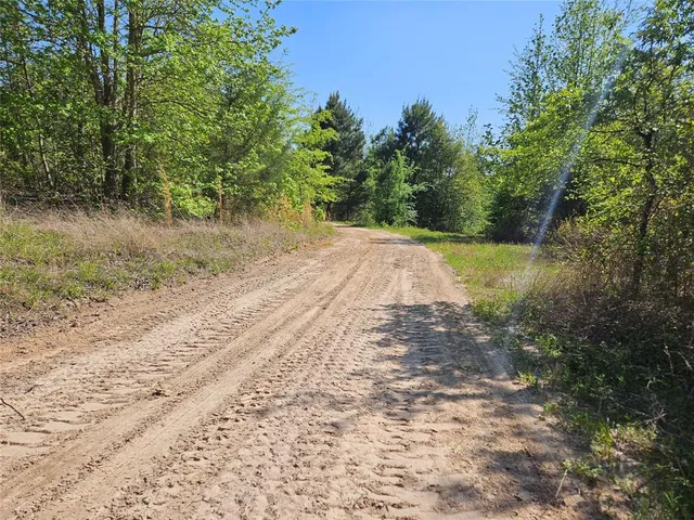 a view of yard with green space