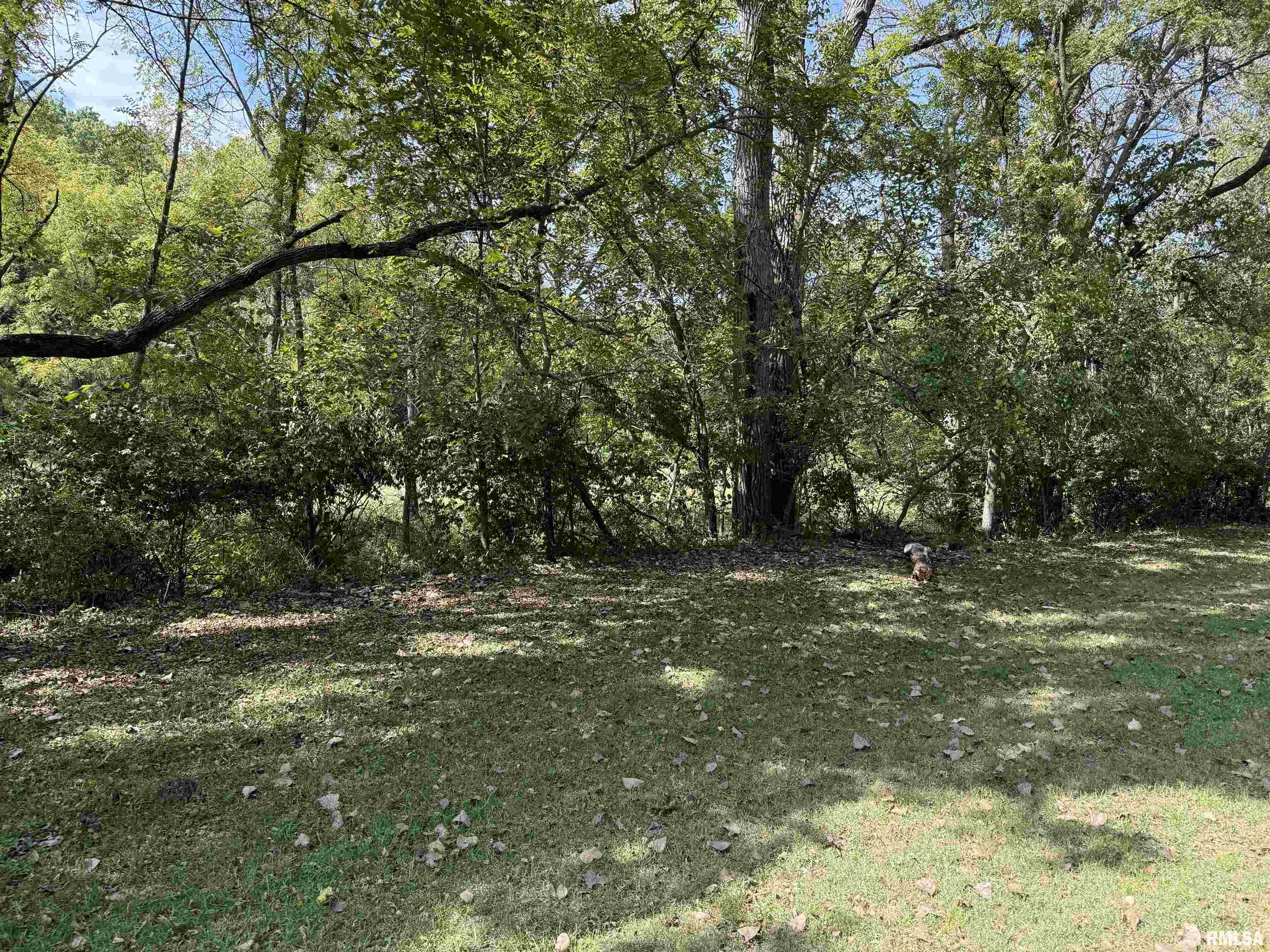 5407 North Koerner Road Peoria, IL 61615 - Photo 11 of 11 Gallery Image 11