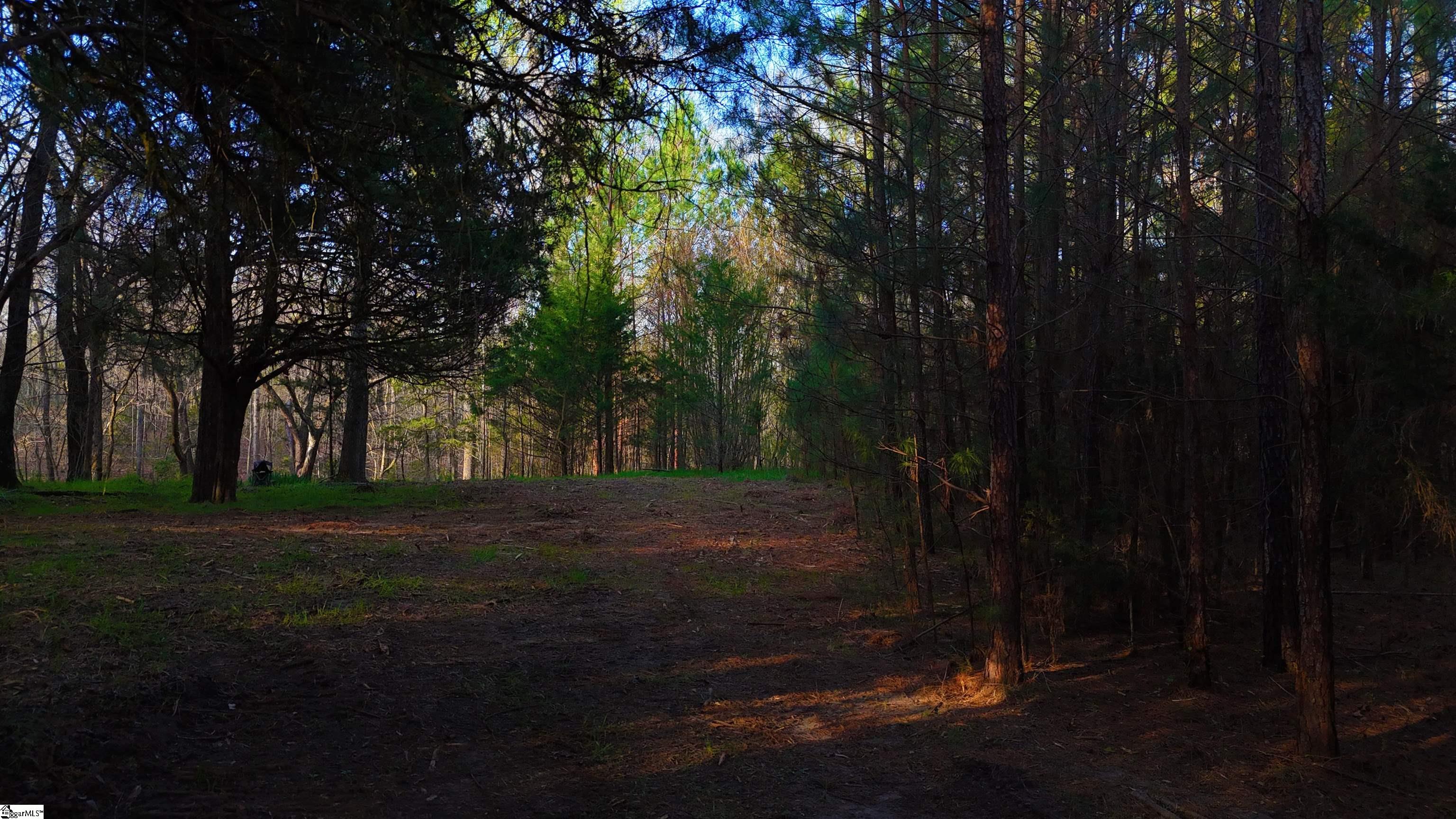 1 Asaville Church Road Anderson, SC 29621 - Photo 4 of 11