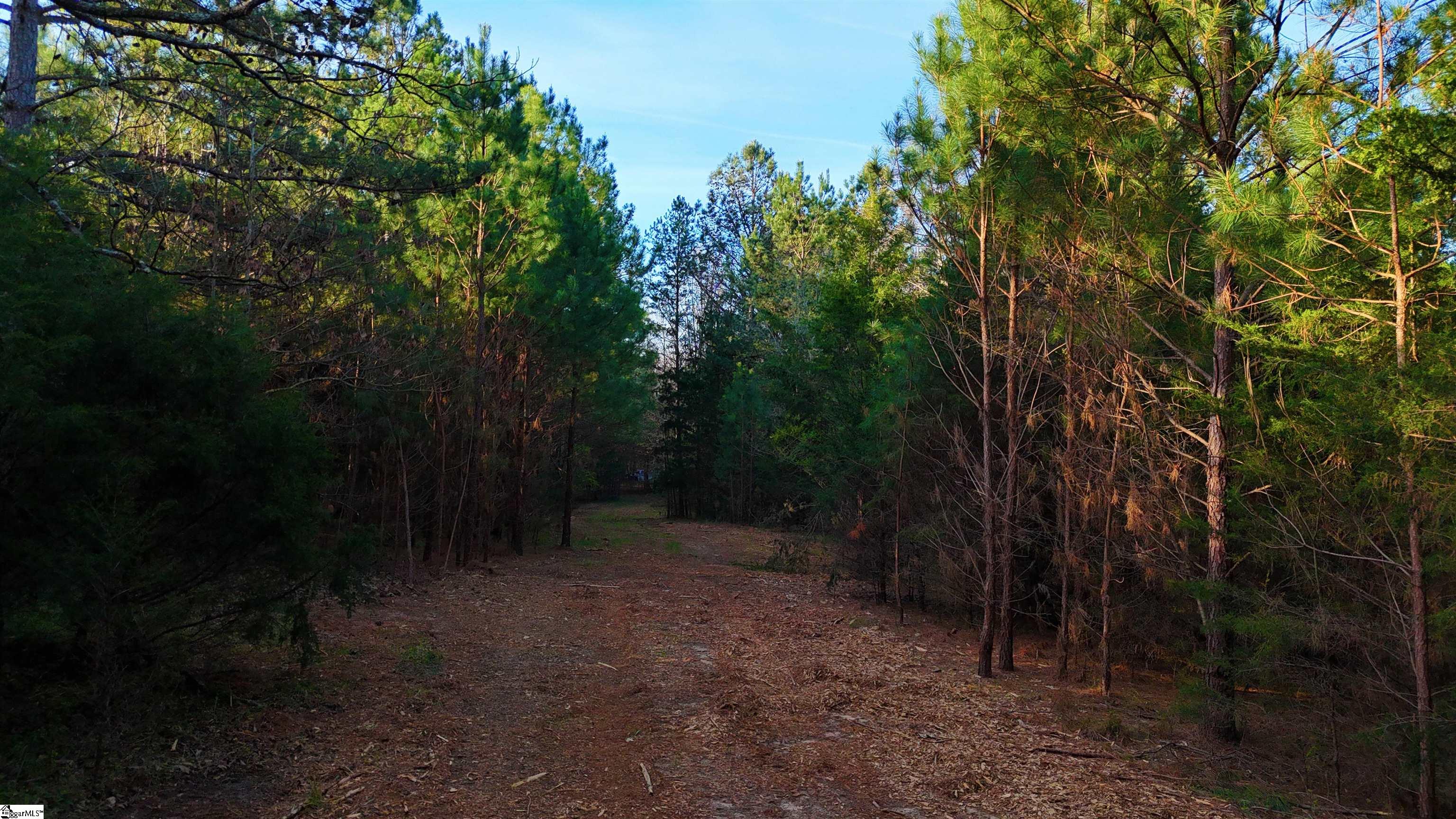 1 Asaville Church Road Anderson, SC 29621 - Photo 8 of 11