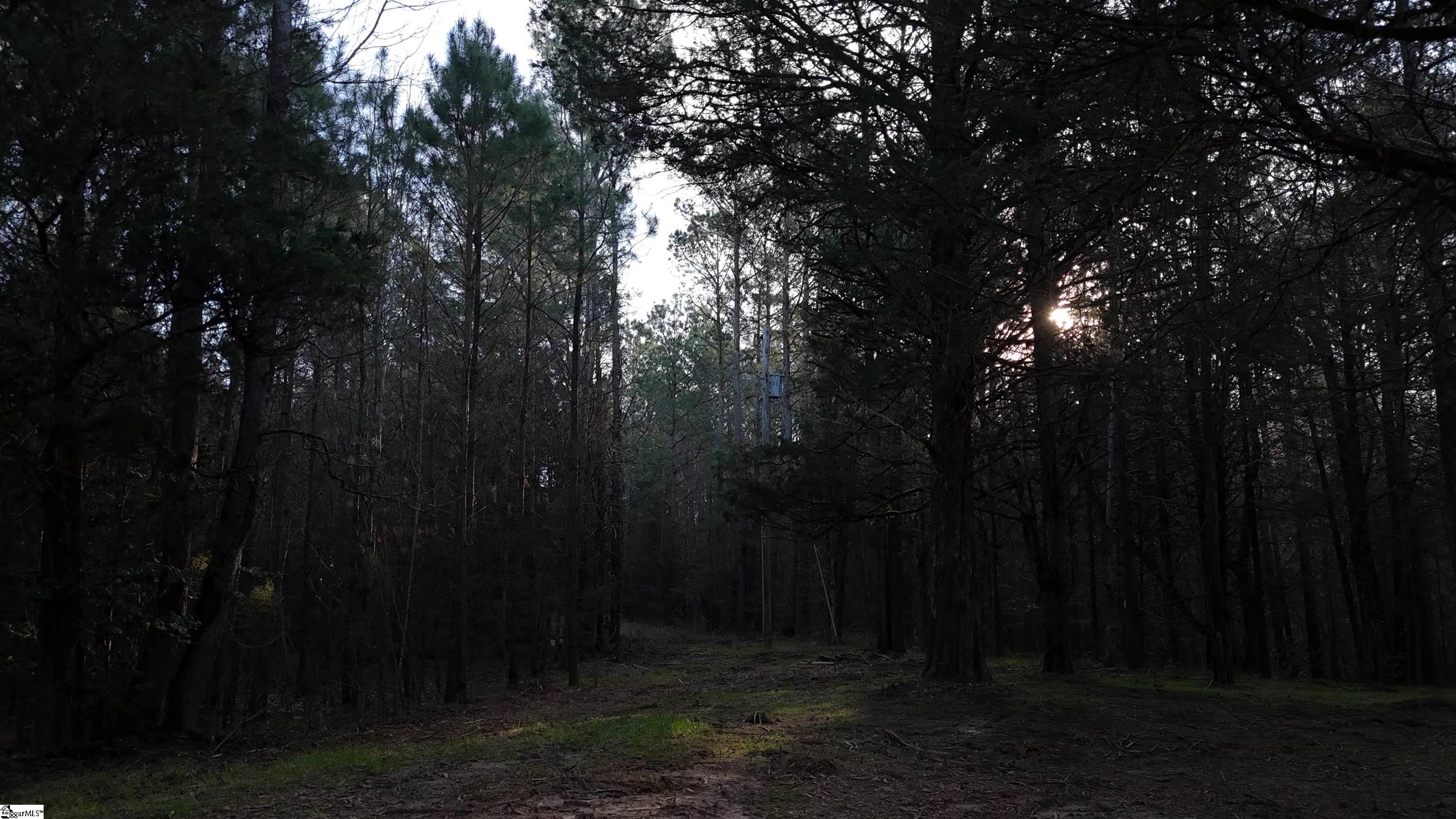 1 Asaville Church Road Anderson, SC 29621 - Photo 10 of 11