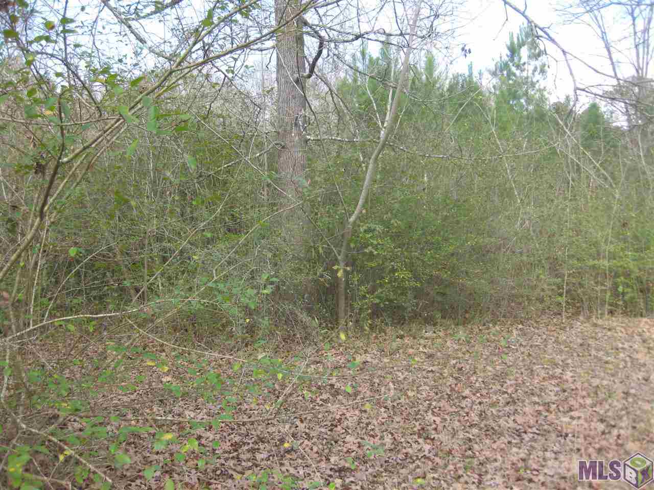 Tbd Jones Road Independence, LA 70443 - Photo 1 of 2 Gallery Image 1