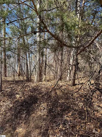 $30,690 | Links Ledge Travelers Rest, Travelers Rest, SC 29690