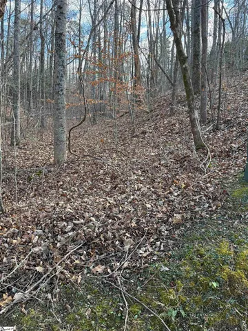 $30,690 | Links Ledge Travelers Rest, Travelers Rest, SC 29690