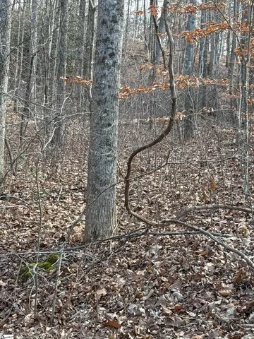 $30,690 | Links Ledge Travelers Rest, Travelers Rest, SC 29690