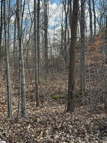 $30,690 | Links Ledge Travelers Rest, Travelers Rest, SC 29690