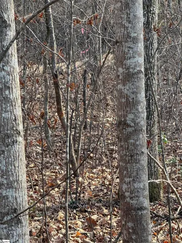 $30,690 | Links Ledge Travelers Rest, Travelers Rest, SC 29690