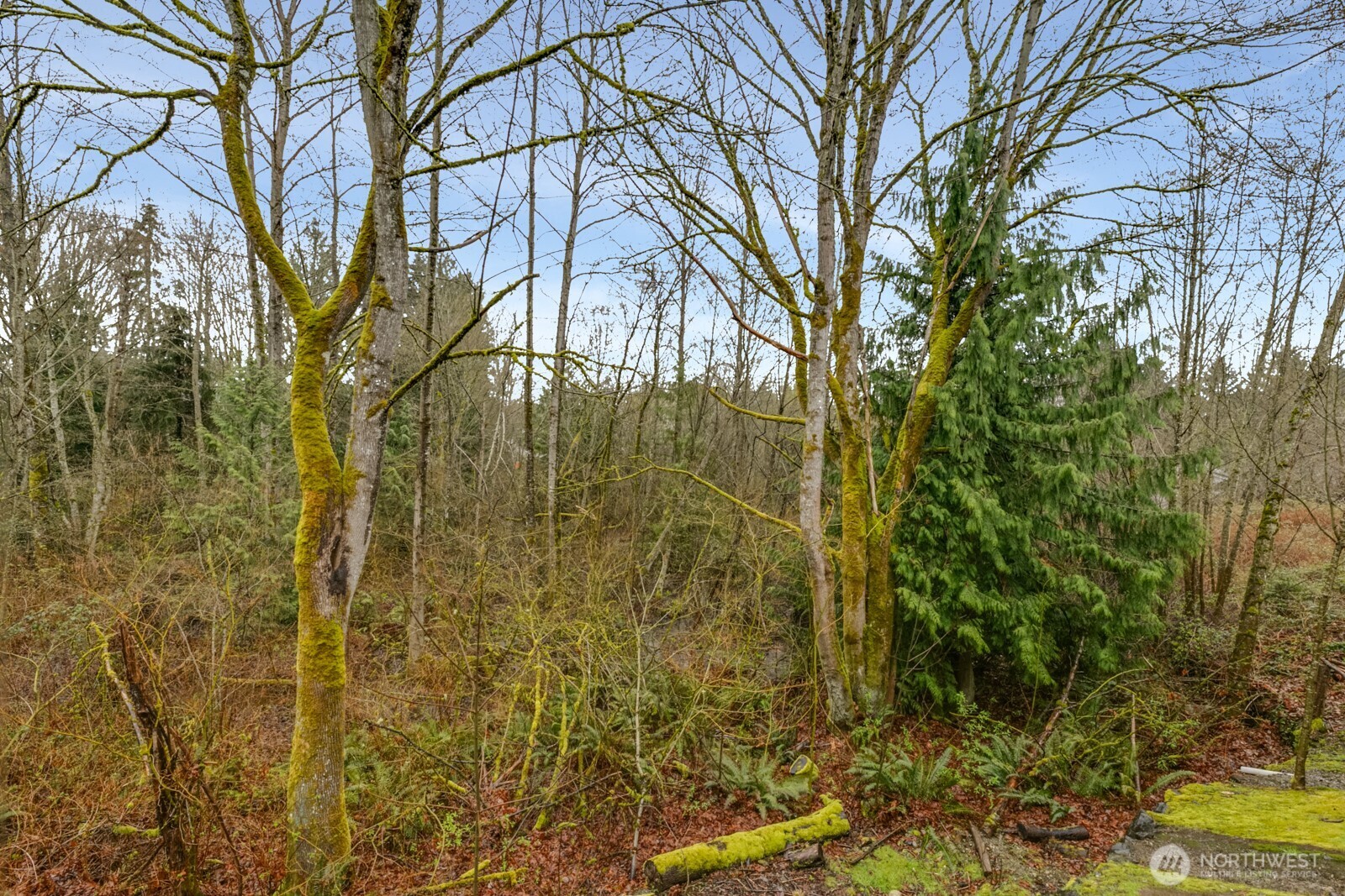 18930 Bothell Everett Highway, Unit T101 Bothell, WA 98012 - Photo 4 of 30