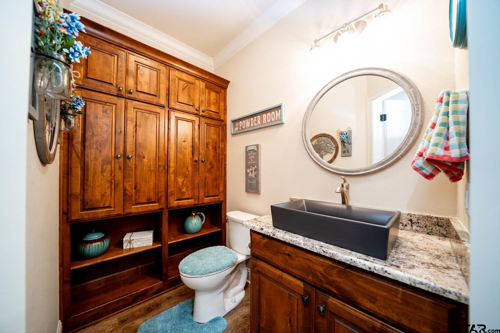 343 Driskell Bridge Road Harleton, TX 75651 - Photo 24 of 42 a bathroom with a toilet a sink and mirror