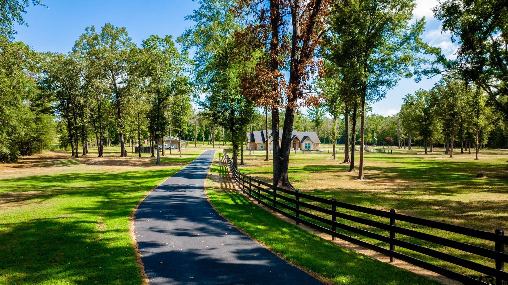 343 Driskell Bridge Road Harleton, TX 75651 - Photo 3 of 42 a view of a park with large trees