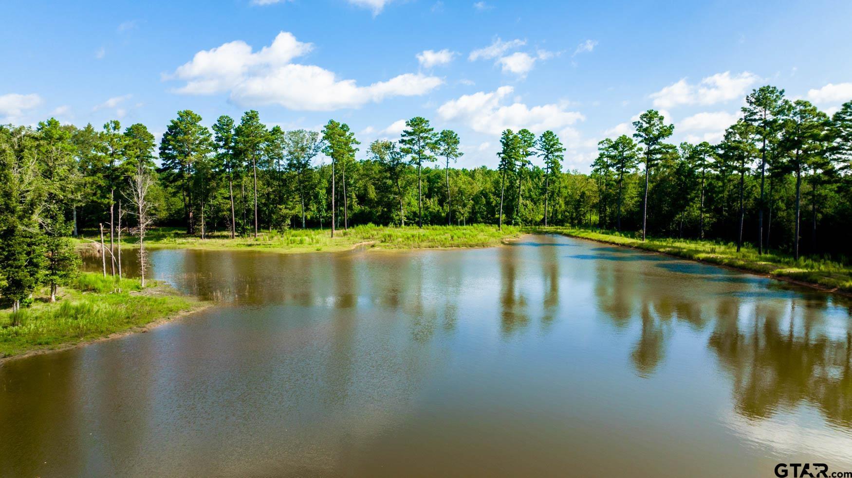 343 Driskell Bridge Road Harleton, TX 75651 - Photo 35 of 42 a view of a lake with a big yard