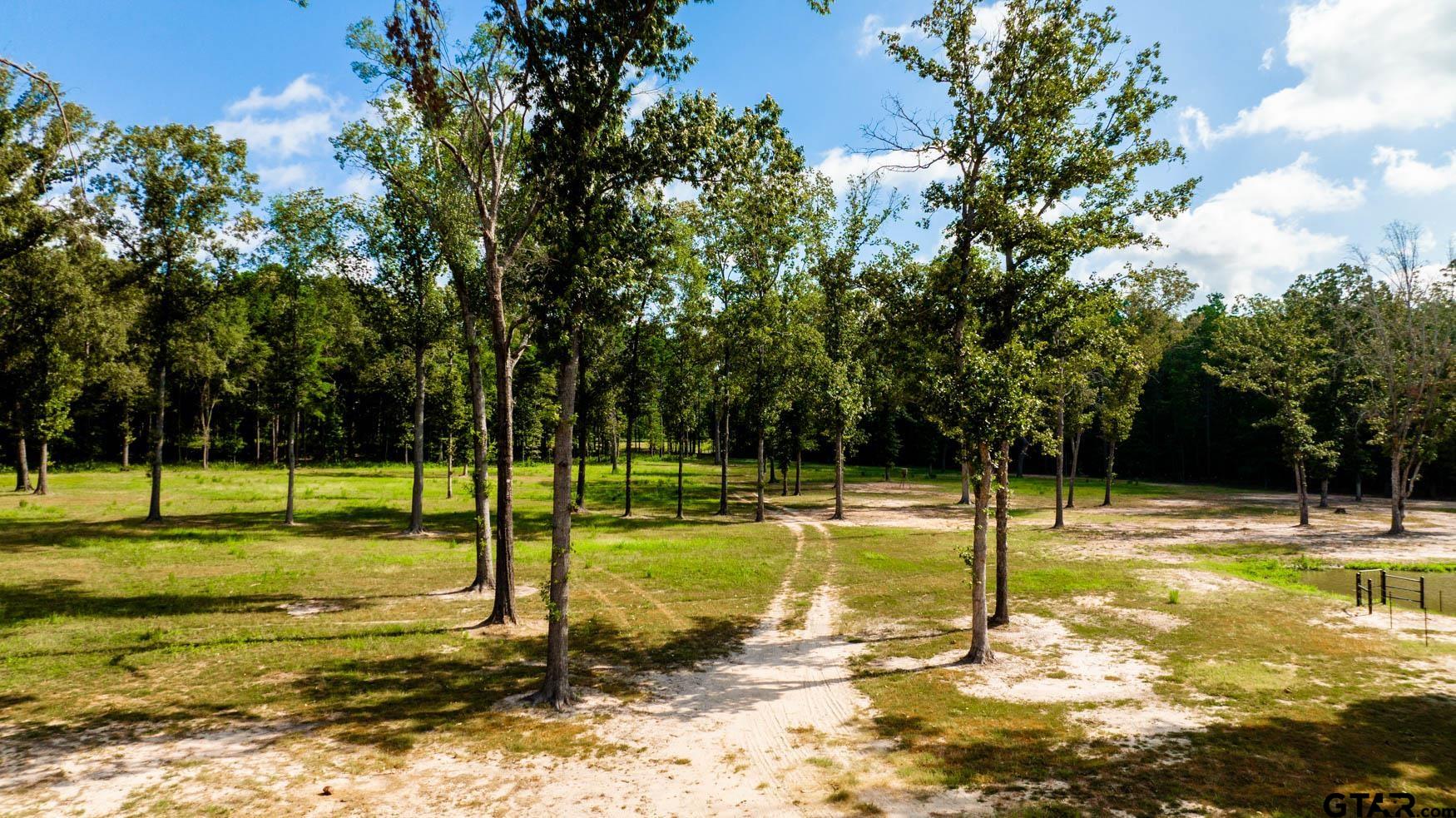 343 Driskell Bridge Road Harleton, TX 75651 - Photo 39 of 42 a view of a swimming pool with a yard