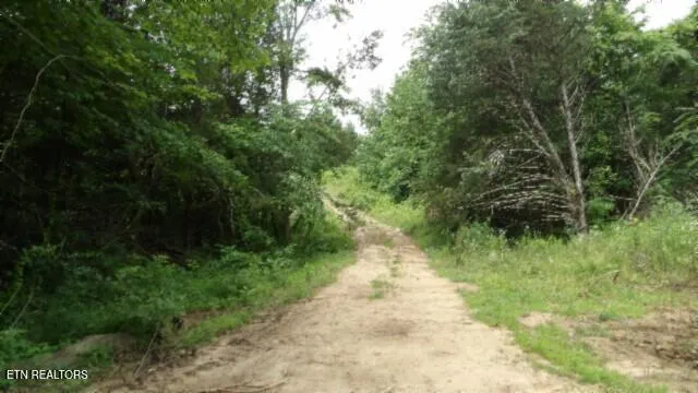 $524,900 | 51.30-ac Livingston Highway, Monroe, TN 38573