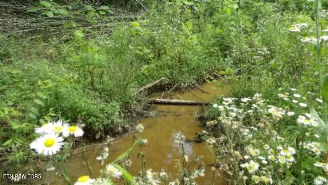 $524,900 | 51.30-ac Livingston Highway, Monroe, TN 38573