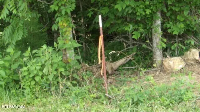 $524,900 | 51.30-ac Livingston Highway, Monroe, TN 38573