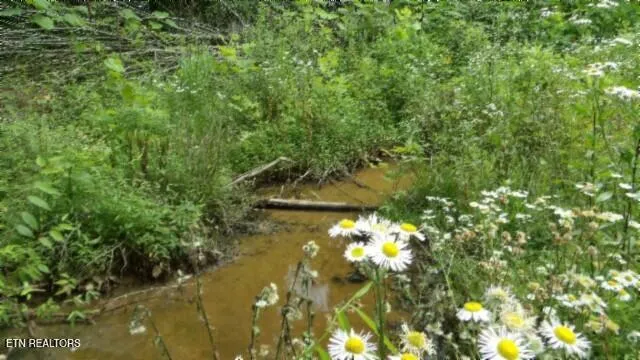 $524,900 | 51.30-ac Livingston Highway, Monroe, TN 38573