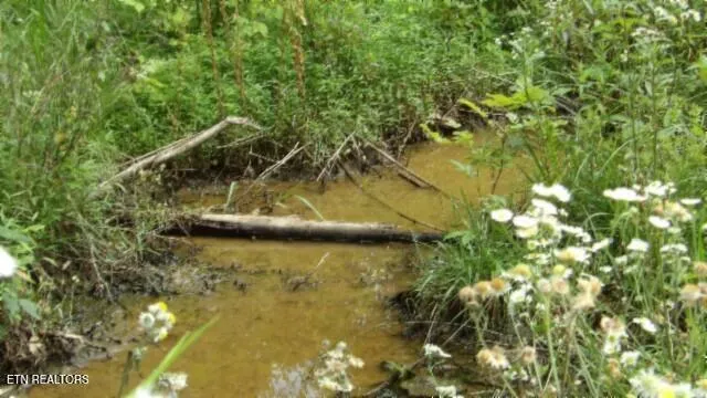 $524,900 | 51.30-ac Livingston Highway, Monroe, TN 38573