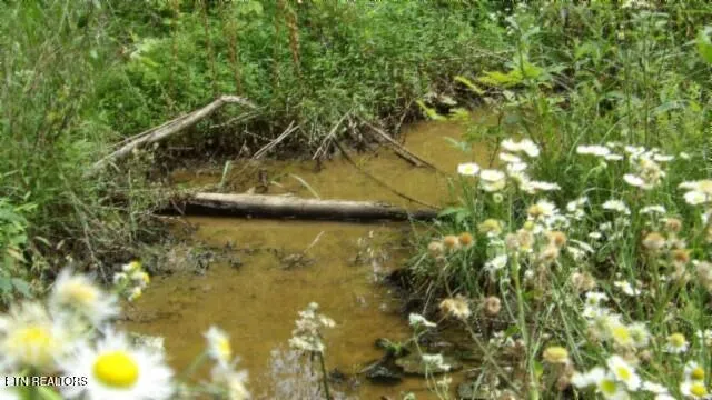 $524,900 | 51.30-ac Livingston Highway, Monroe, TN 38573