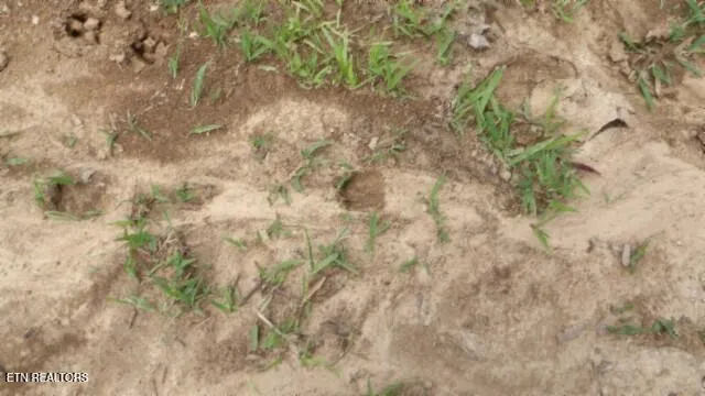 $524,900 | 51.30-ac Livingston Highway, Monroe, TN 38573