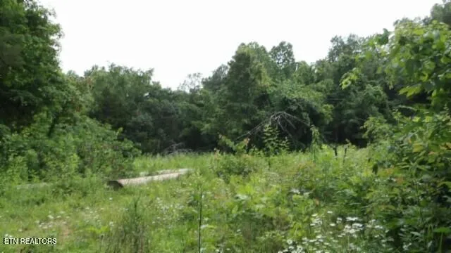 $524,900 | 51.30-ac Livingston Highway, Monroe, TN 38573