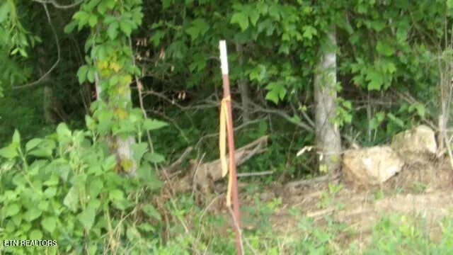 $524,900 | 51.30-ac Livingston Highway, Monroe, TN 38573