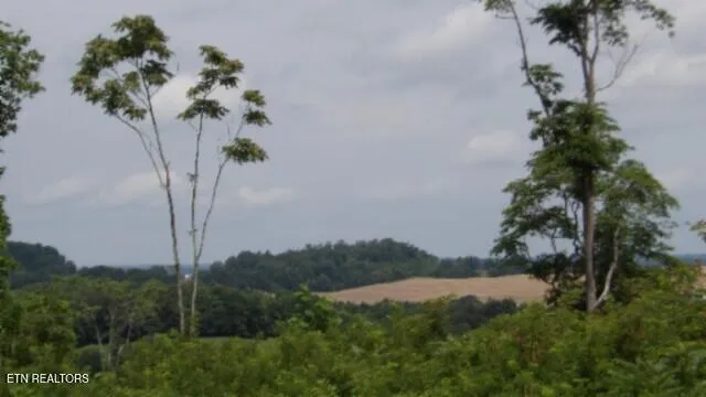 $524,900 | 51.30-ac Livingston Highway, Monroe, TN 38573