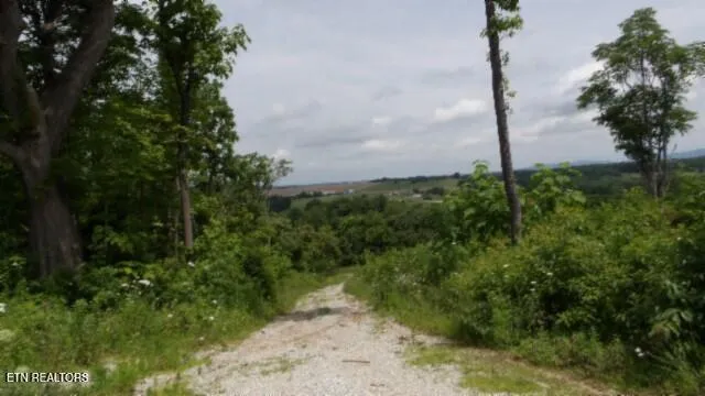 $524,900 | 51.30-ac Livingston Highway, Monroe, TN 38573