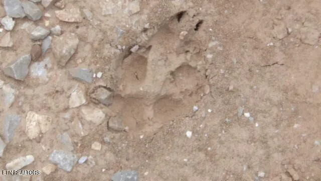 $524,900 | 51.30-ac Livingston Highway, Monroe, TN 38573