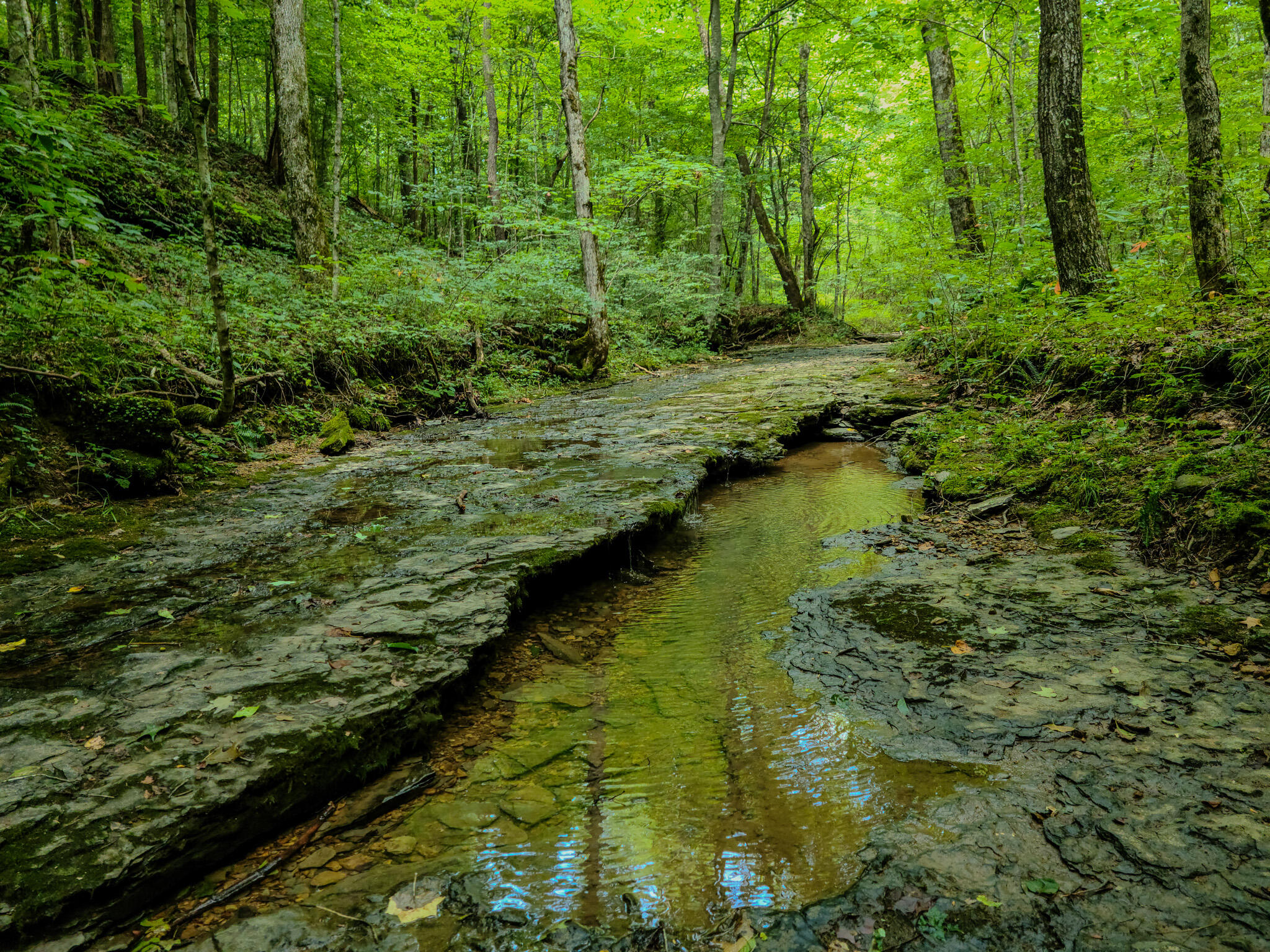 1640 Clear Branch Road Liberty, KY 42539 - Photo 123 of 135 20240706_134321