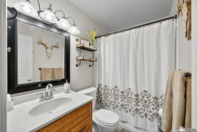 a bathroom with a sink a toilet a mirror and shower curtain