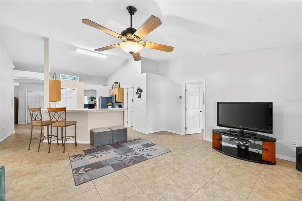 3859 Southwest 109th Lane Ocala, FL 34476 - Photo 24 of 55 a living room with fireplace furniture and a flat screen tv