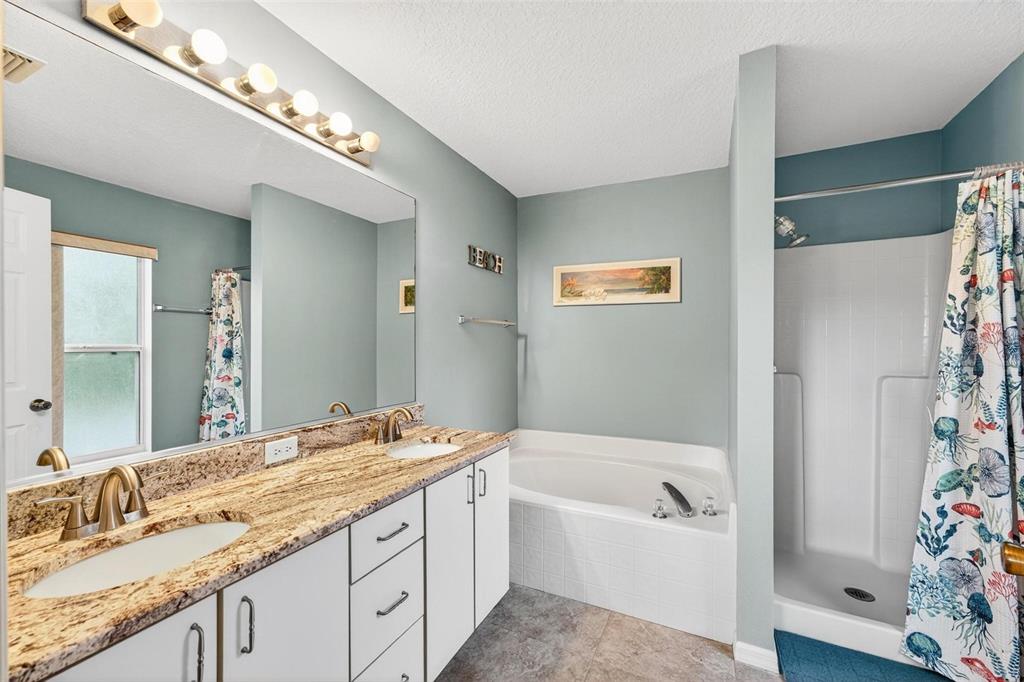 3859 Southwest 109th Lane Ocala, FL 34476 - Photo 37 of 55 a bathroom with a granite countertop bathtub a sink and a large mirror