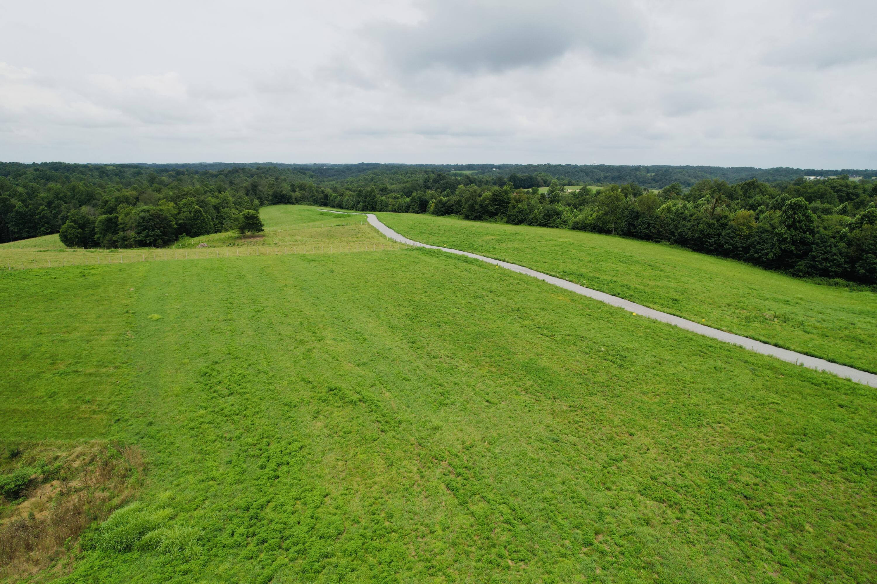 18-19 Purdy Sano Road Columbia, KY 42728 - Photo 5 of 18 dji_fly_20230713_105252_518_168926389062
