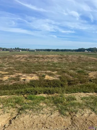 $169,900 | Lot # Buddy Gore Road, Gonzales, LA 70737
