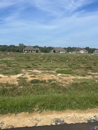 $169,900 | Lot # Buddy Gore Road, Gonzales, LA 70737