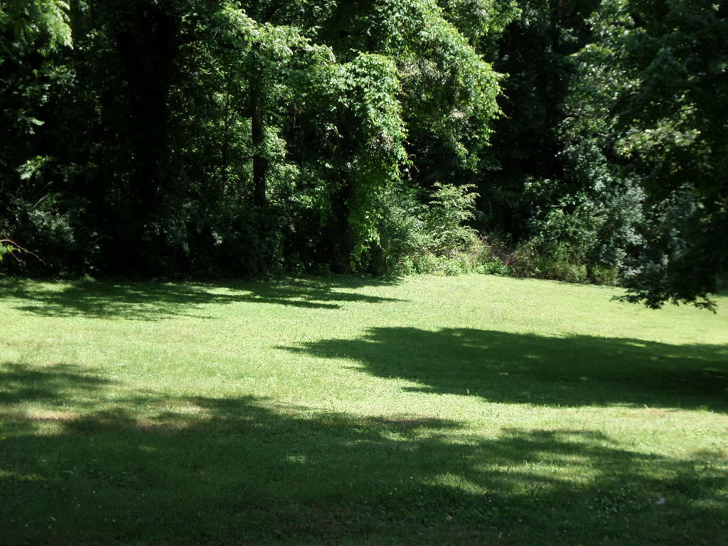 105 Moylan Lane Oak Ridge, TN 37830 - Photo 14 of 19 Back Yard