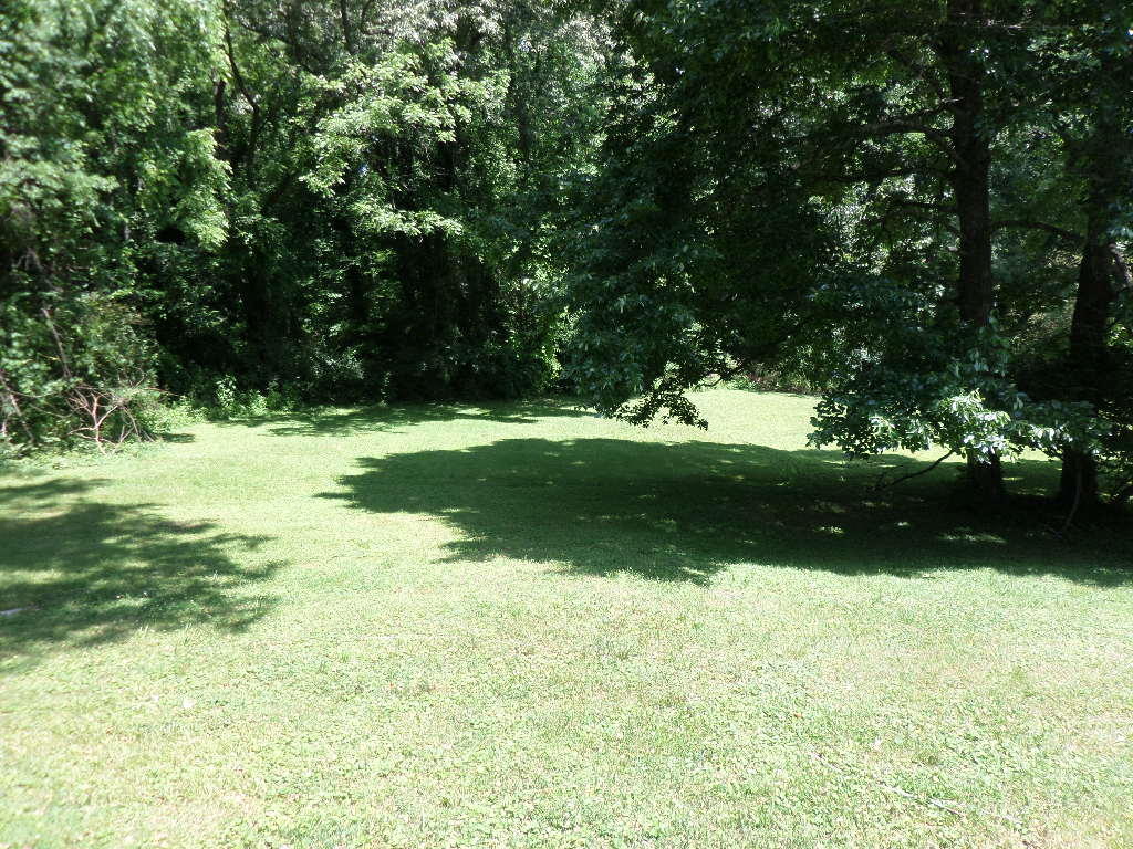 105 Moylan Lane Oak Ridge, TN 37830 - Photo 15 of 19 Back Yard