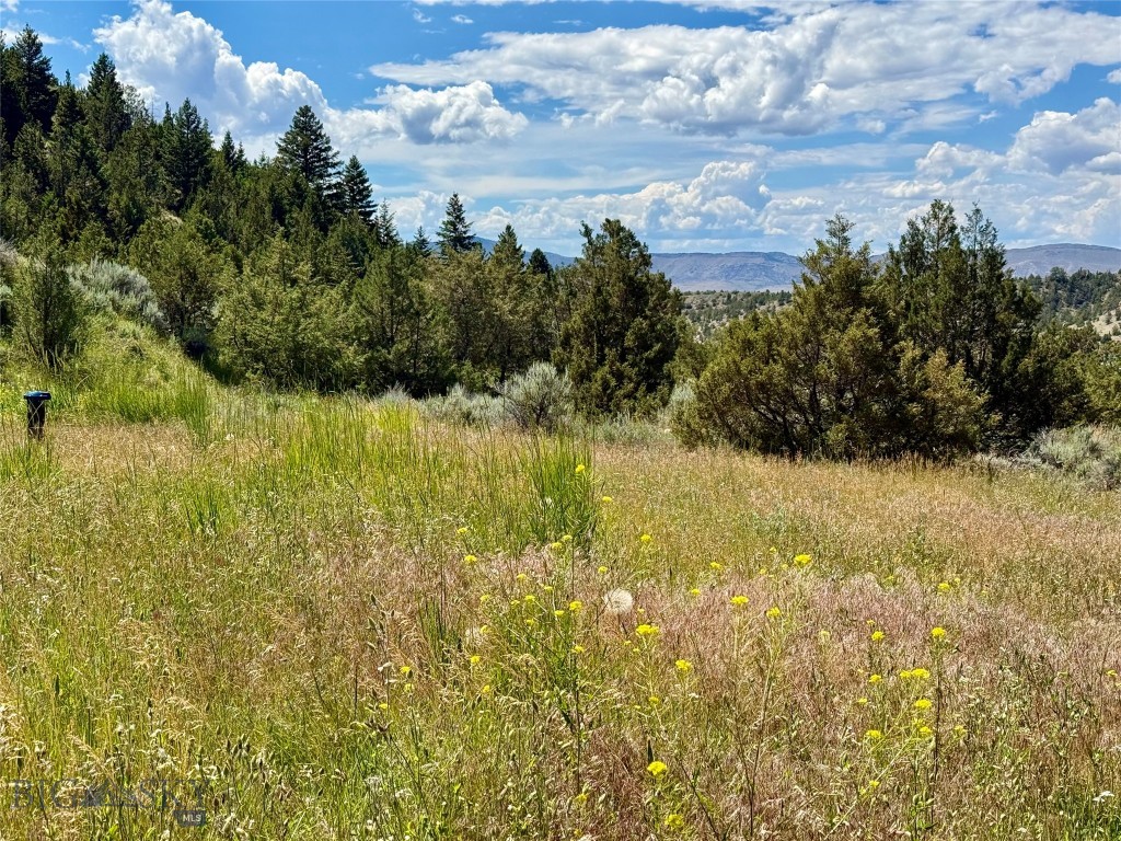 Lot 290 Broken Creek Road Three Forks, MT 59752 - Photo 7 of 22 Gallery Image 7