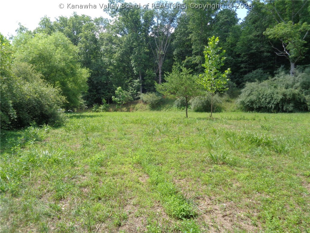 0 Beechie Fork Road Alum Creek, WV 25003 - Photo 6 of 15 Gallery Image 6