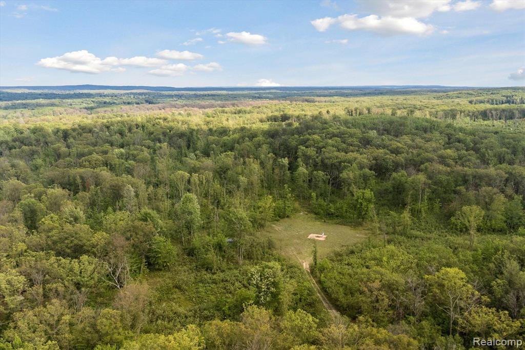 0 Oak Ridge Circle Road Mio, MI 48647 - Photo 9 of 13