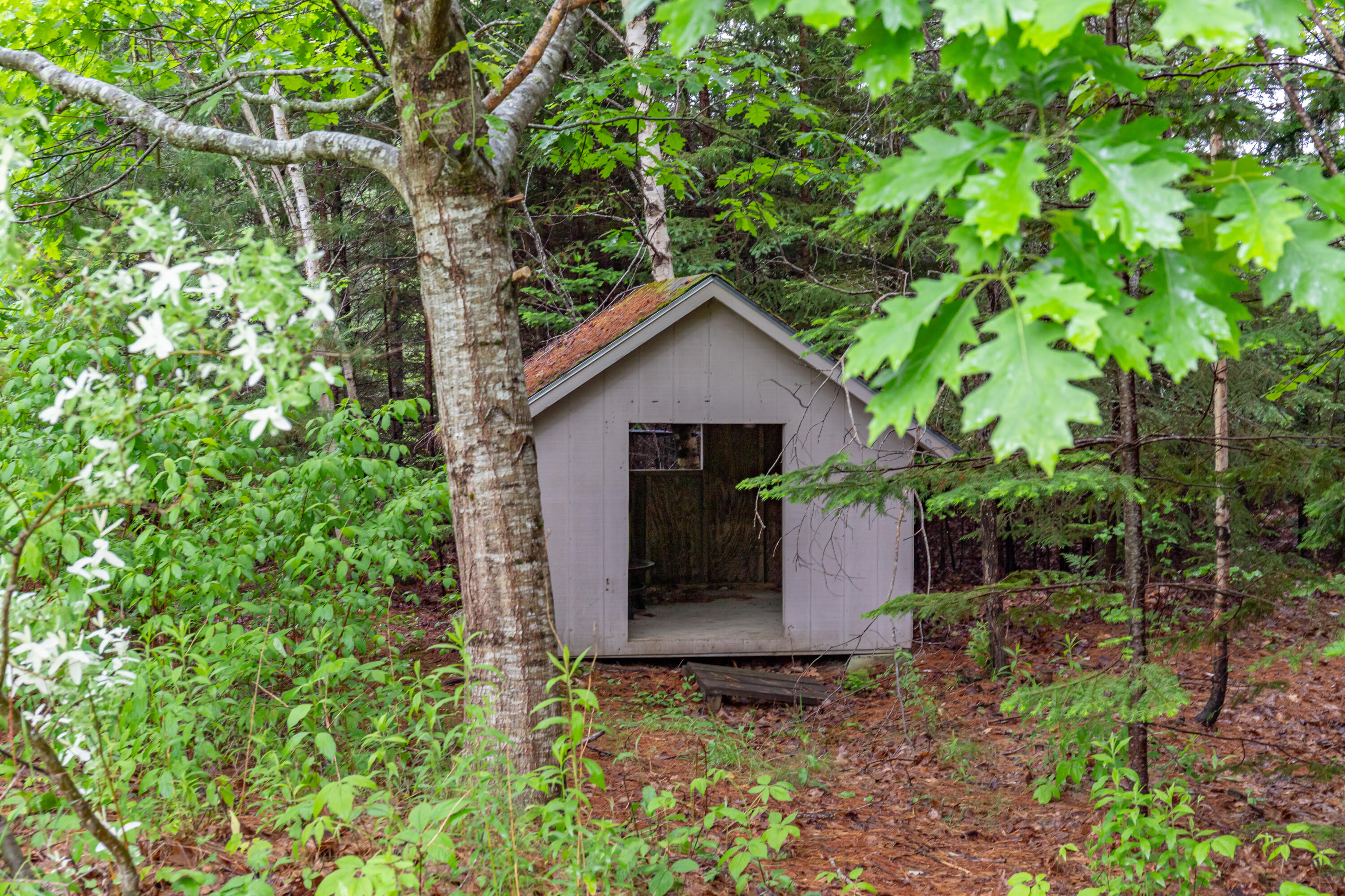39 Kitteridge Brook Road Bar Harbor, ME 04609 - Photo 58 of 84 Small shed